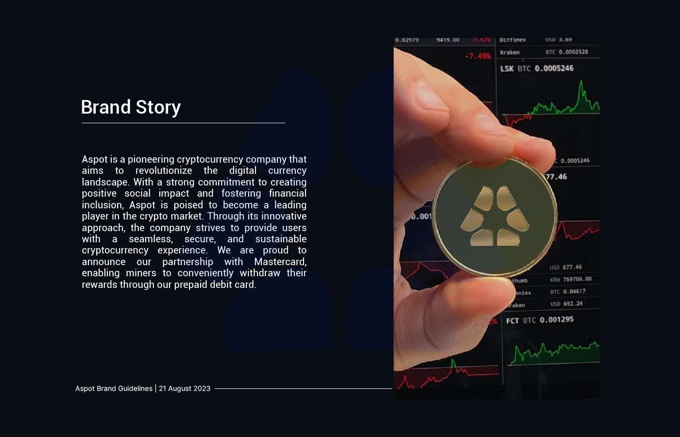 Example of Brand Guidelines