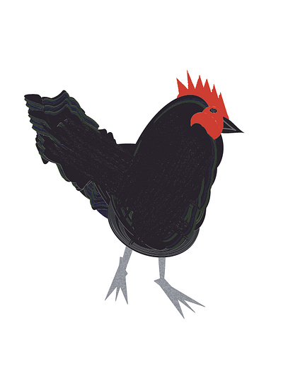 black cock, one bird chriscreates chrismogren cock design drawing feathers illustration illustrator rooster
