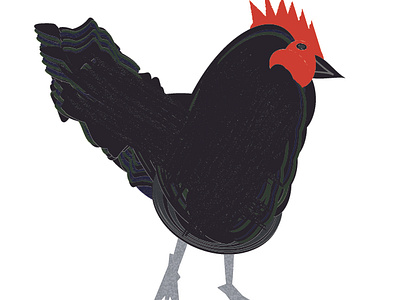 black cock, one bird chriscreates chrismogren cock design drawing feathers illustration illustrator rooster