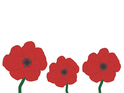 red poppies, one chriscreates chrismogren design drawing flower flowers illustration poppies poppy red