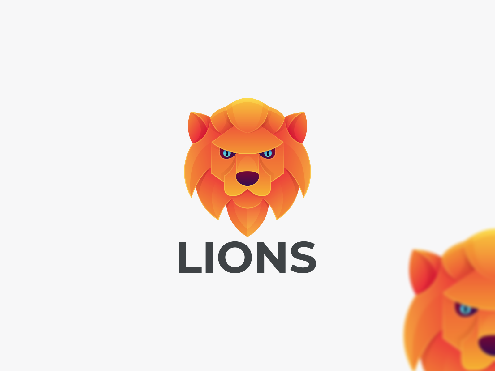 LIONS by MT Projectss on Dribbble