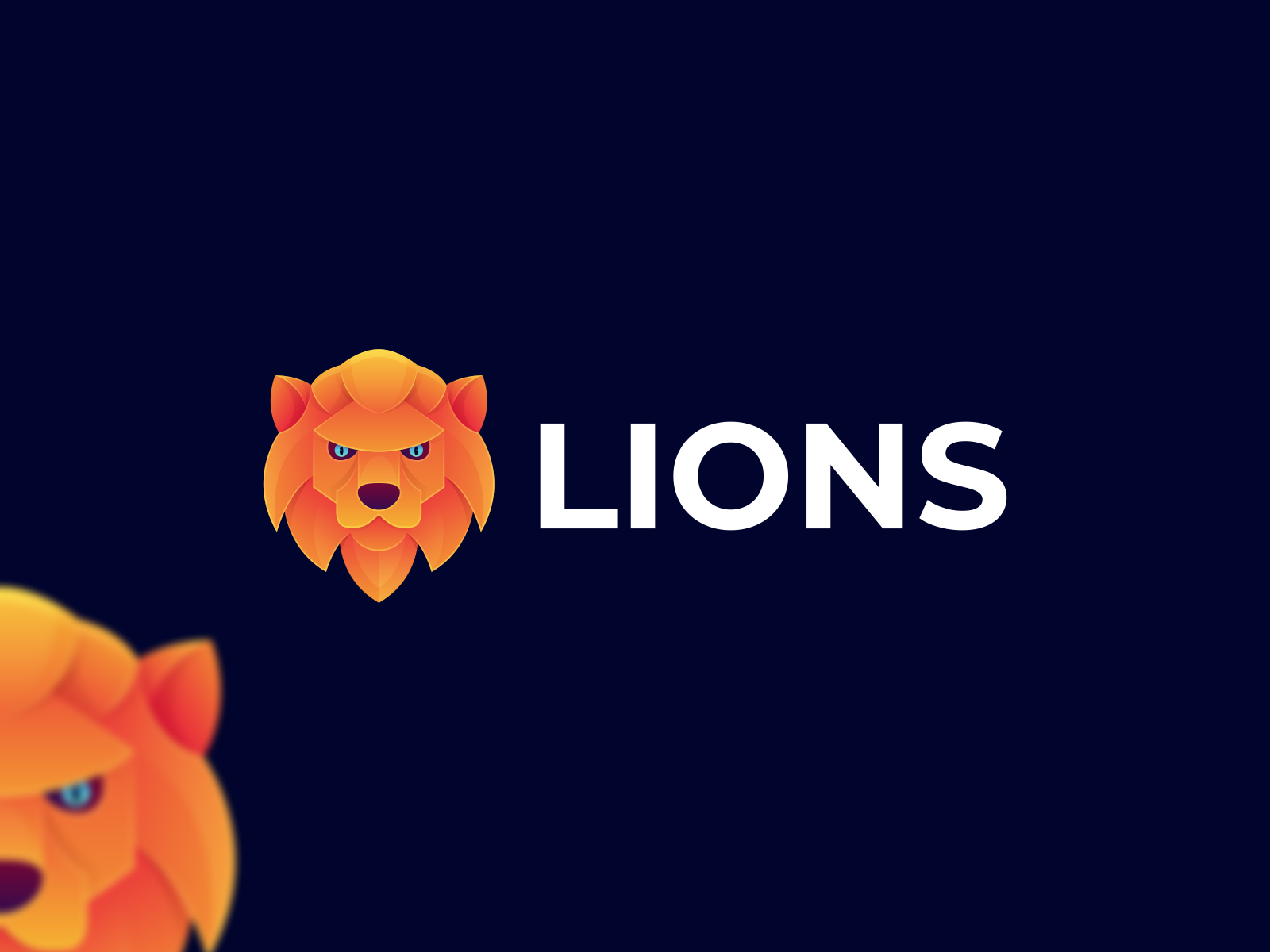 LIONS by MT Projectss on Dribbble