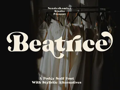 Beatrice - Retro Serif Font 60s font 60s font 70s font 80s font bold branding chubby elegant fashion font fonts groovy luxury magazine modern serif retro sans serif serif stylist vintage wedding