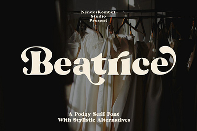 Beatrice - Retro Serif Font 60s font 60s font 70s font 80s font bold branding chubby elegant fashion font fonts groovy luxury magazine modern serif retro sans serif serif stylist vintage wedding