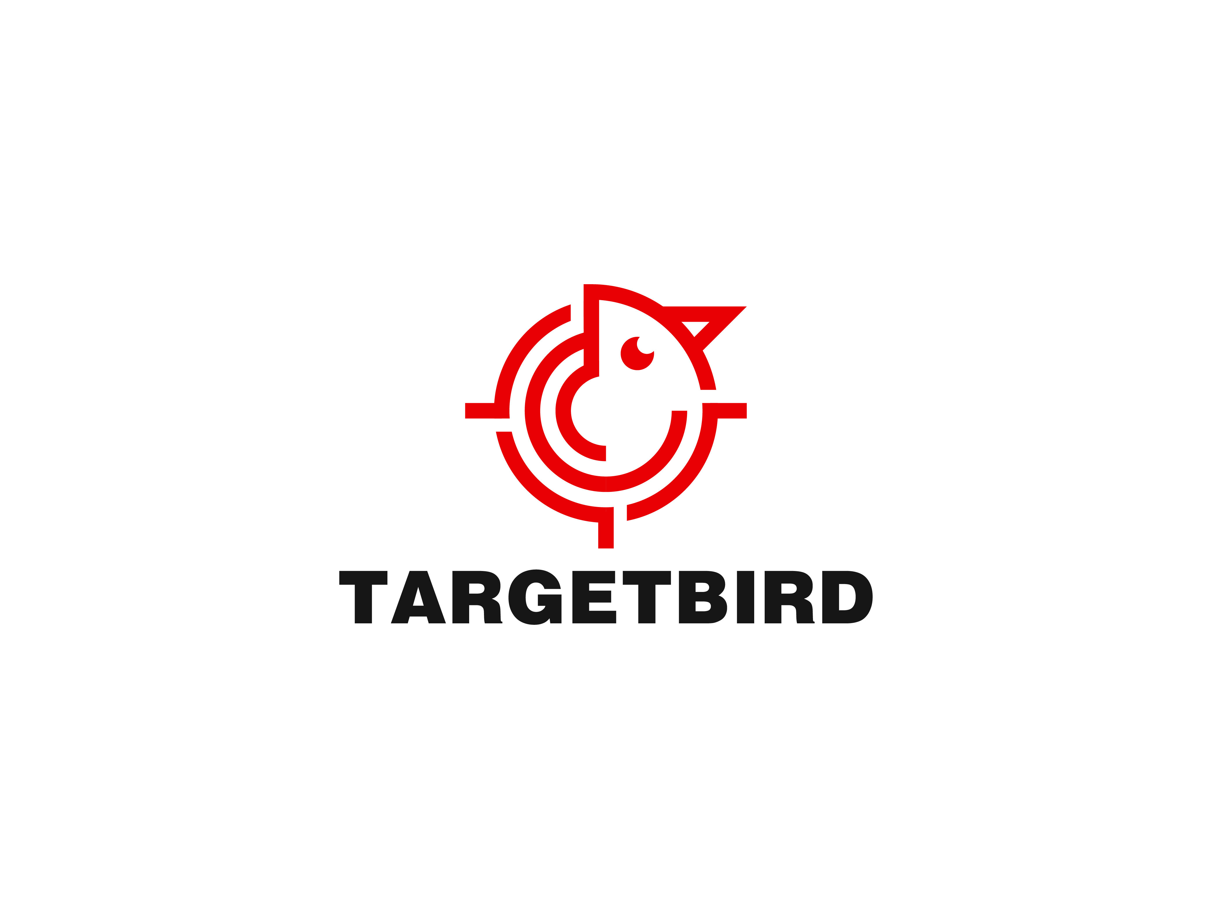 TARGETBIRD aimhighicon bird birdseyeviewdesign branded logo branding bullseyebirdgraphics design firebirdgraphic flighttargetart graphic design illustration logo logo design target target bird logo combination targetbird targetbird logo design targetbirddesign ui vector