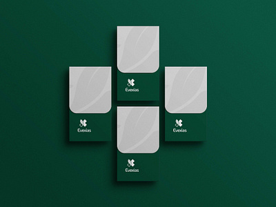 Evexias Medical Consult - Brand Identity Design branding graphic design logo ui