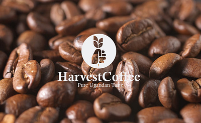 Harvest Coffee Brand Identity branding graphic design logo