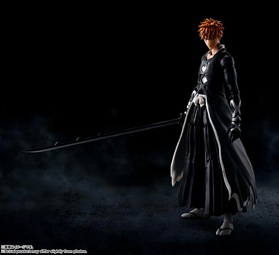 Are You A Bleach Fan? anime action figures japanese manga series