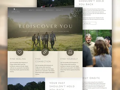 Onsite WordPress Site Design & Build design ui ux website wordpress