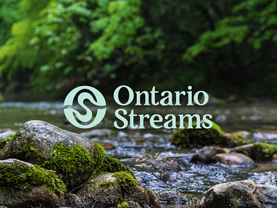 Ontario Streams branding community conservation environment identity logo nature non profit ontario river stream sustainability visual identity wetland wildlife