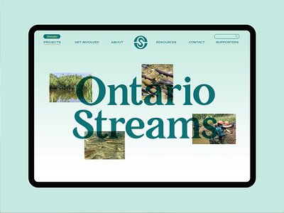 Ontario Streams animation branding canada conservation earth environment fish forset identity ipad landing page logo nature non profit ontario river sustain sustainability website wordmark