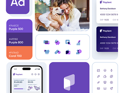 Paytient Design System design design system healthcare paytient ui design