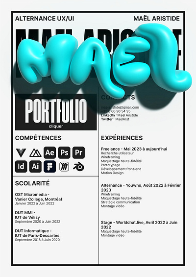 CV Design 3d cv design graphic design