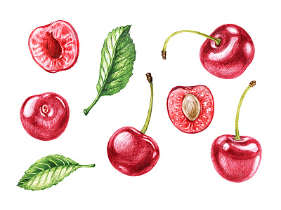 Cherries cherry drawing illustration organic pen test vintage