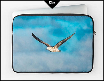 Freedom in Flight, Ushuaia, Argentina animals birds concept freedom photography prints tierra del fuego wildlife
