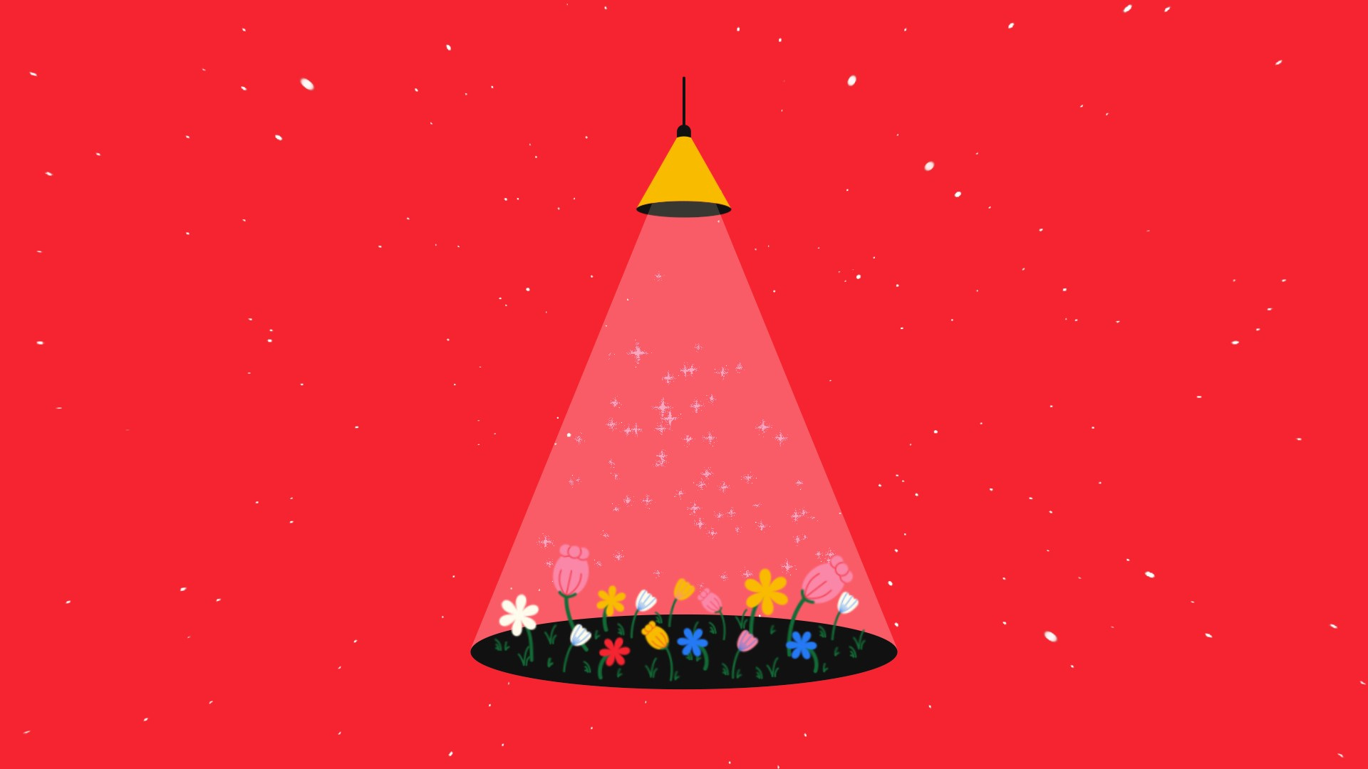 The Empress animated illustration animation branding design drawing flat animation illustration logo motion design