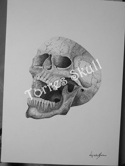 Torres Skull cover illustration illustration inking novel project sketch torres