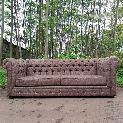 Living Sofa