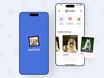 Good Boi App for street dogs graphic design logo ui uiux user experince design user interface design ux