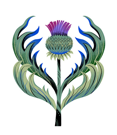 Thistle flower flower illustration