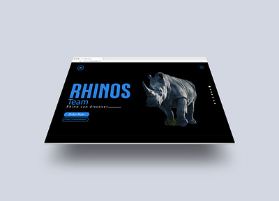 Rhinos Web design branding ui ux website website design