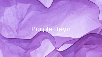 Purple Reyn branding design figma graphic design webflow website