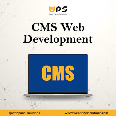 Professional CMS Web Development Agency - Web Panel Solutions
