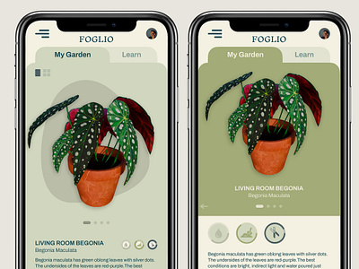 Houseplants care mobile app 3d blender branding graphic design logo ui ux