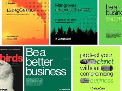 Social Media Posts - Sustainable Brand branding carbon neutral environment instagram instagram post logo design social media post sustainable brand visual identity