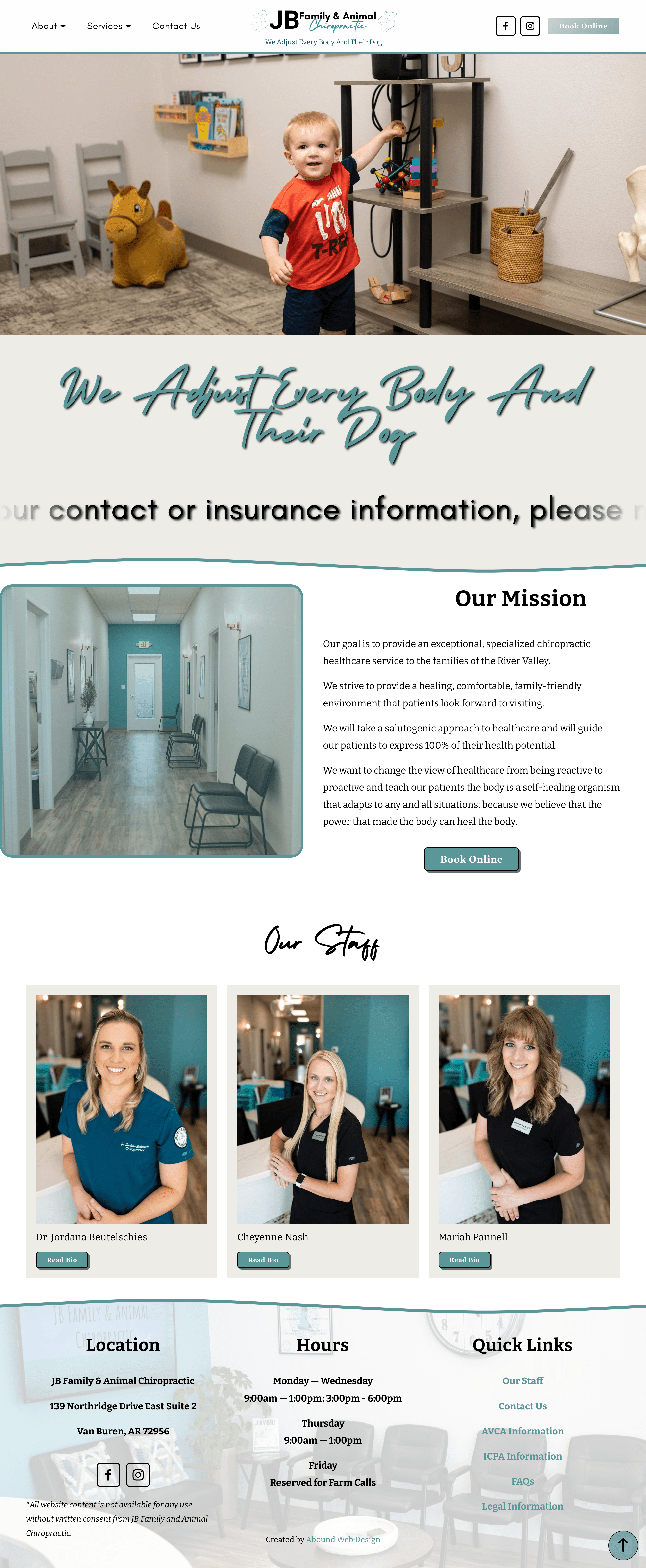 JB Family & Animal Chiropractic Clinic css javascript squarespace web design web designer web developer website websites