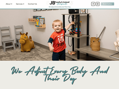 JB Family & Animal Chiropractic Clinic css javascript squarespace web design web designer web developer website websites