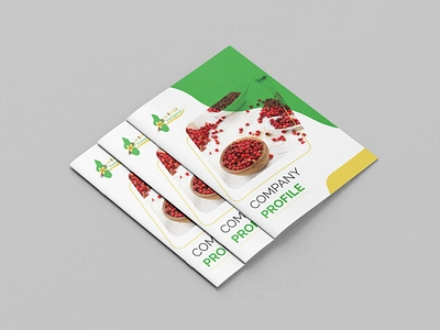 Bi-Fold Brochure bi fold brochure branding brochure brochure design brochures business brohcure catalog design company brochure company profile company profile design design flyer newsletter