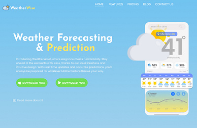 Weather Wise app graphic design ui ux weather website