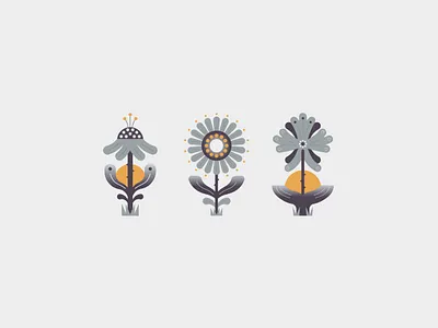 flowers design flat flat illustration flowrs graphic design illustration vector vector illustration