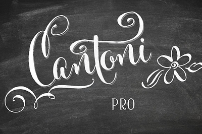 Cantoni Pro Hand Lettered Font calligraphy font cantoni font cantoni pro hand lettered font debi sementelli font fonts for invitaitons fonts for weddings fun fonts hand lettered font wedding font whimsical fonts
