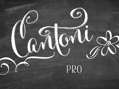 Cantoni Pro Hand Lettered Font calligraphy font cantoni font cantoni pro hand lettered font debi sementelli font fonts for invitaitons fonts for weddings fun fonts hand lettered font wedding font whimsical fonts