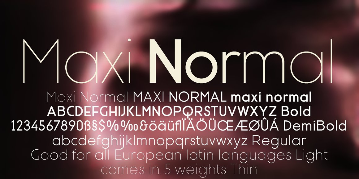 Maxi Fonts By Graphic Template On Dribbble