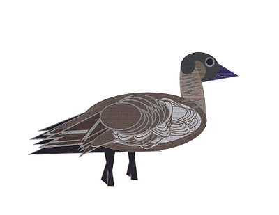 nene, one bird chriscreates chrismogren design drawing feathers goose hawaii hawaiian illustration nene