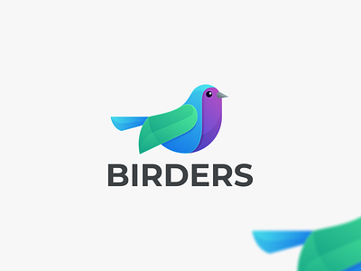 BIRDERS bird bird coloring bird design graphic birders branding design graphic design icon illustration logo