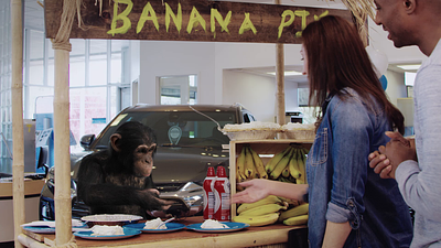 Chimp Banana Pie 3d animation banana car car dealer cgi character aniamtion chimp compositing insurance live action monkey pie vfx
