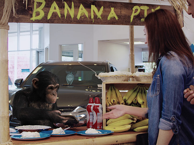 Chimp Banana Pie 3d animation banana car car dealer cgi character aniamtion chimp compositing insurance live action monkey pie vfx