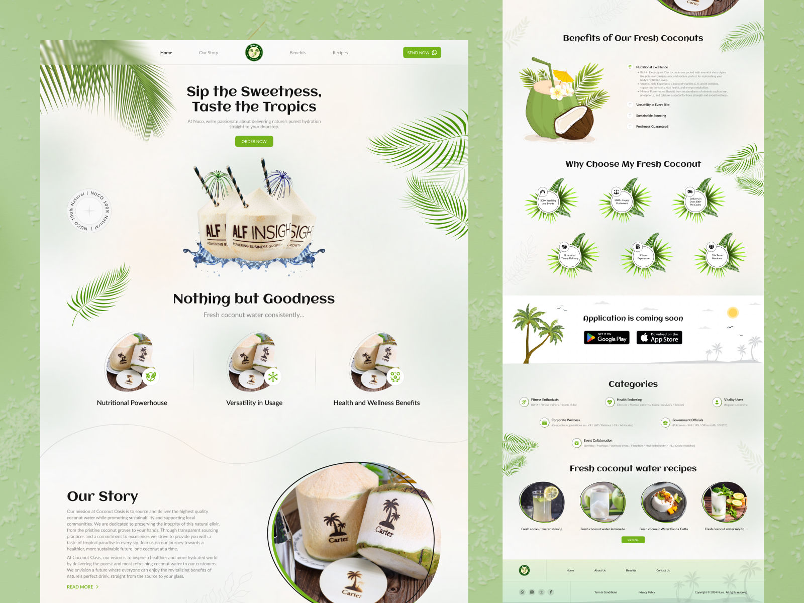 Example of E Commerce Website Design 5 Pages