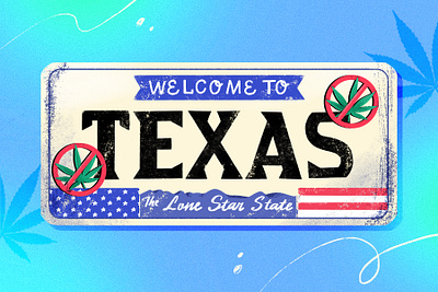 Texas License Plate creative design graphic graphic design hand drawn illustration license plate procreate texas texture usa vehicle welcome to