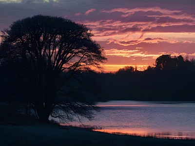 Majestic tree silhouette by tranquil lake at dusk clouds