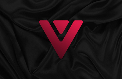 Void Logo Design branding graphic design logo