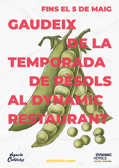 Posters | Dynamic Hotels food gastronomia graphic design maresme pesols
