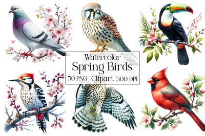 Watercolor Spring Birds PNG Clipart birds