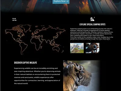 Travel Landing Page UI Design branding identity illustration landing page landing ui ui vector