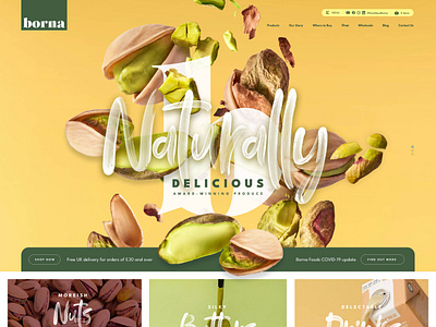 Nut supplier website design green menu mockup nuts organic ui web design website yellow