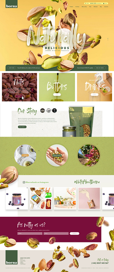 Nut supplier website design green menu mockup nuts organic ui web design website yellow